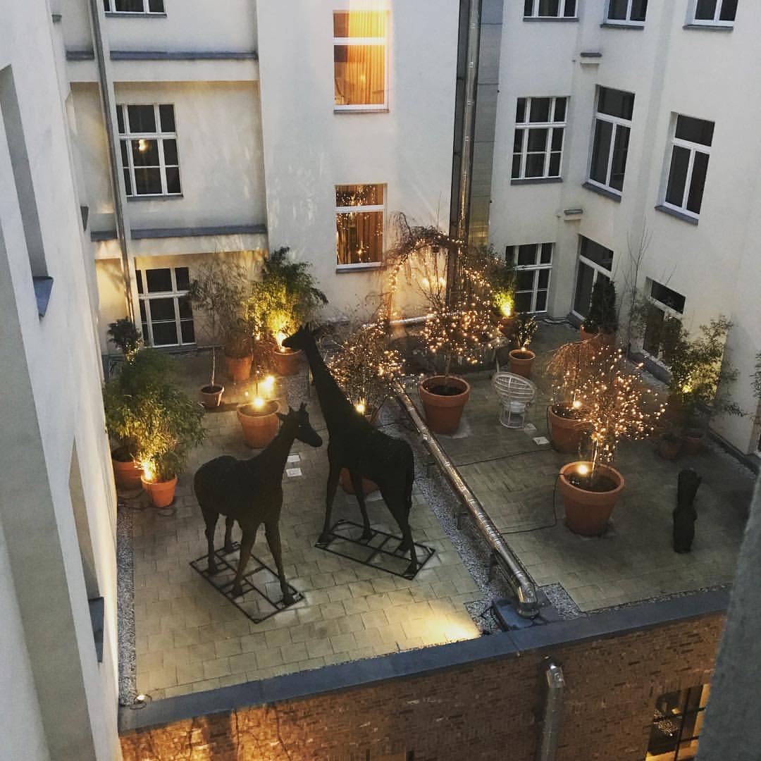 Hotel Zoo living up to its name with a pair of giraffes o...