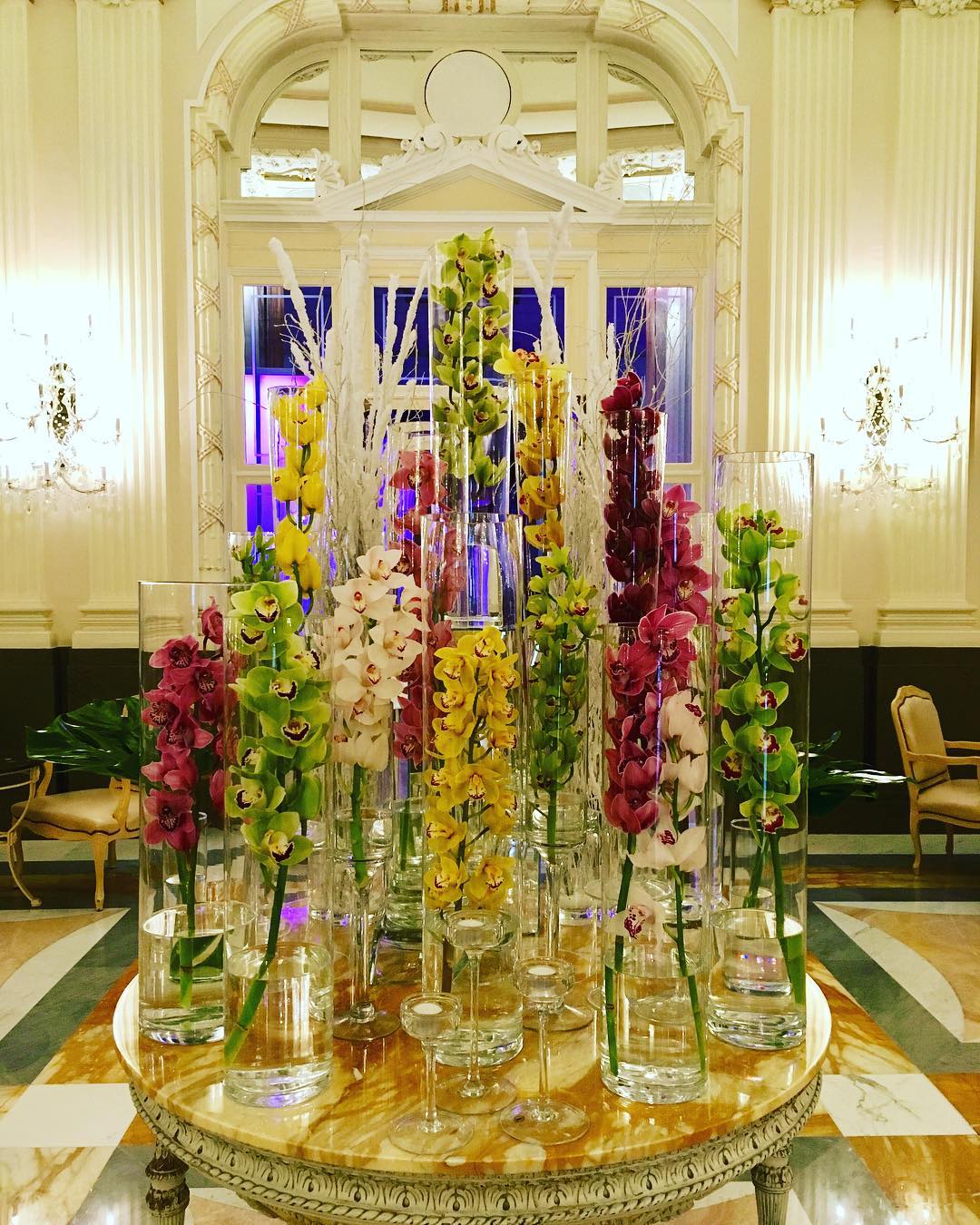 Luxury orchids at Carlo IV hotel Prague