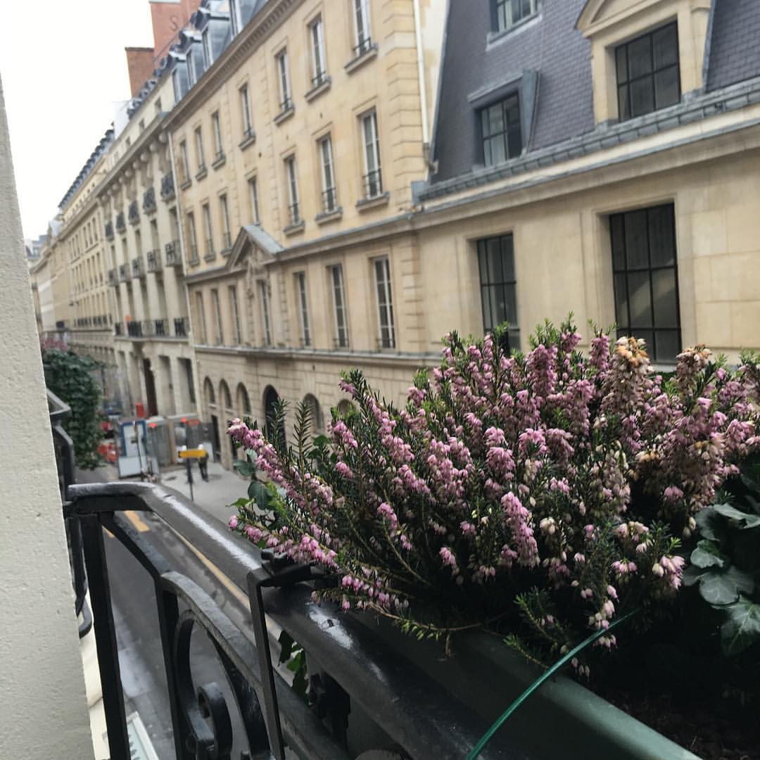 From the #balcony of my room! Love the #hotelcastilleparis 